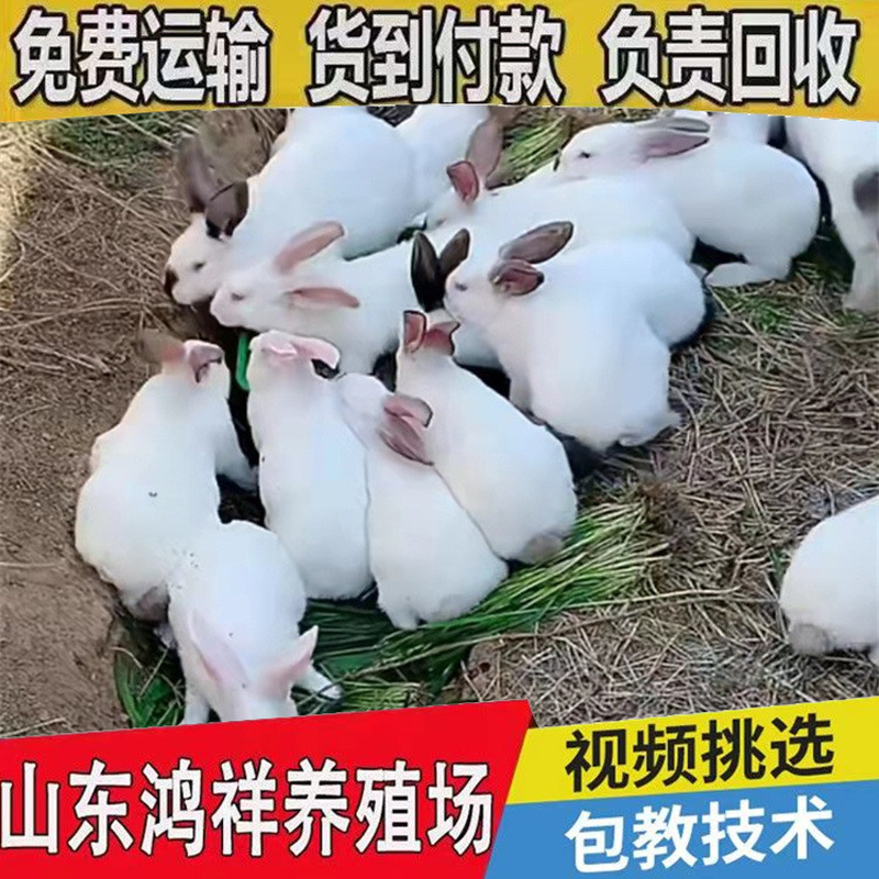 4df23031-e184-4602-9dd1-d642e8