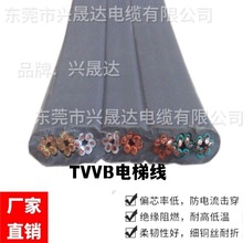 d_TVVBG48*0.75mm2|طNSбƽ|~݌