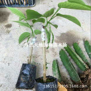 ̨���޽��ļ���ɣ�����L��ɣ��o��ʮ���ɣ��ɣ�ع����箔��Y��