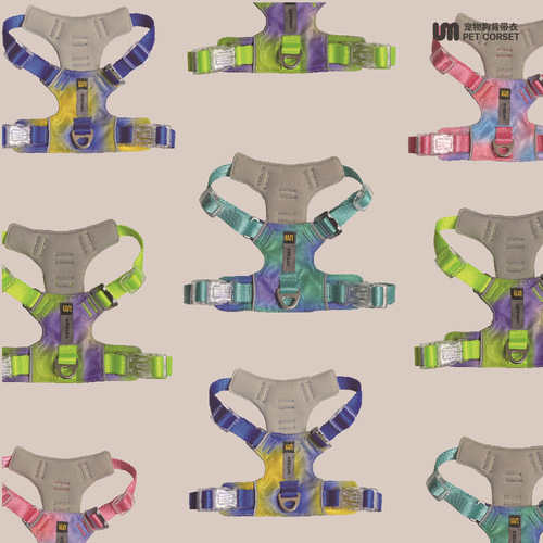 UNMIXED Urban Explorer Gradient Waterproof Cat and Dog Chain Outdoor Dog Traction Teddy Corgi Dog Leash UM