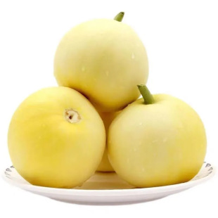 ɽ�|����20С�۹���Ϯa��ֱ�l��ϰ��]����С�۹���� һ�����l