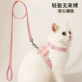 猫猫玩具;狗狗玩具;狗狗食具