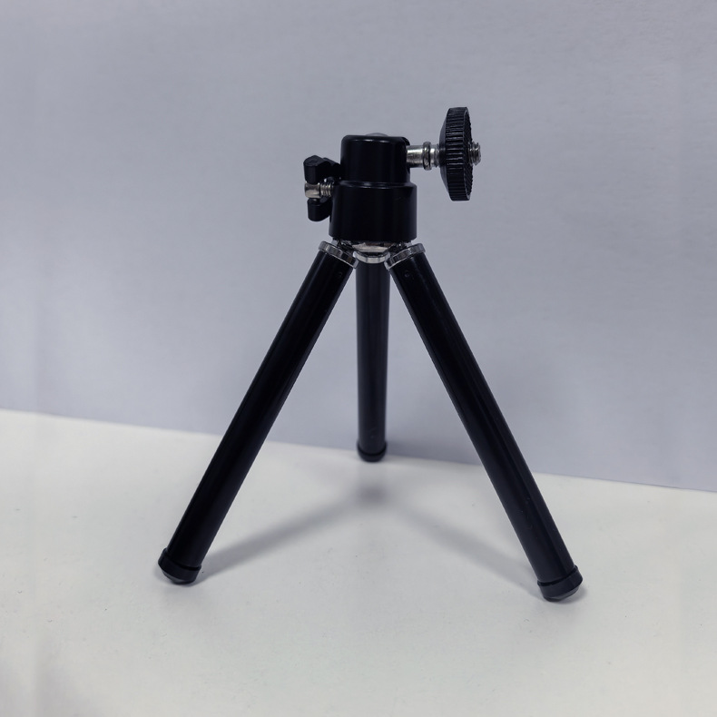 캠핑 라이트 싱글 스탠드