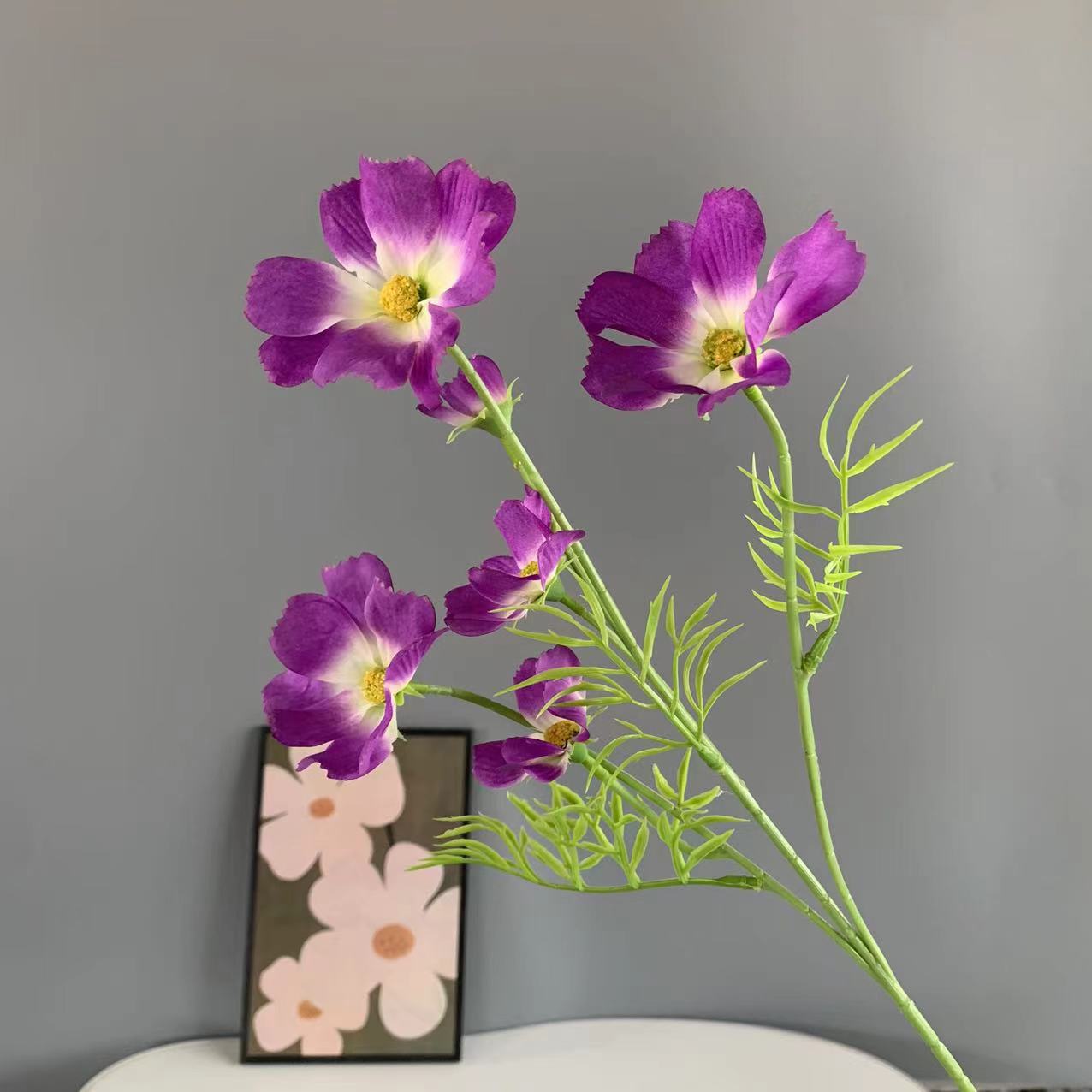 보라