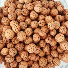 山桃核手串原料打孔桃核雕刻桃篮核雕脑纹散子打孔桃核串珠材料