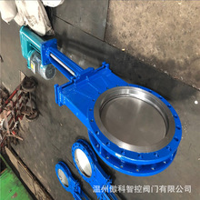 �Һ���T䓵����l�y DMZ273H/X/F-10 DN150 �Һ�Ӱ��U�����l�y