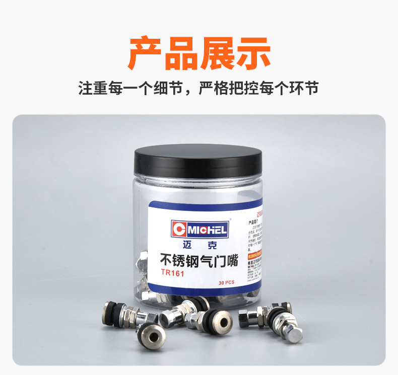 Mike's Stainless Steel Valve Stem Is Made of Alloy Material, Sturdy and Durable, Explosion-Proof Tire Valve with Core for Vacuum Tires