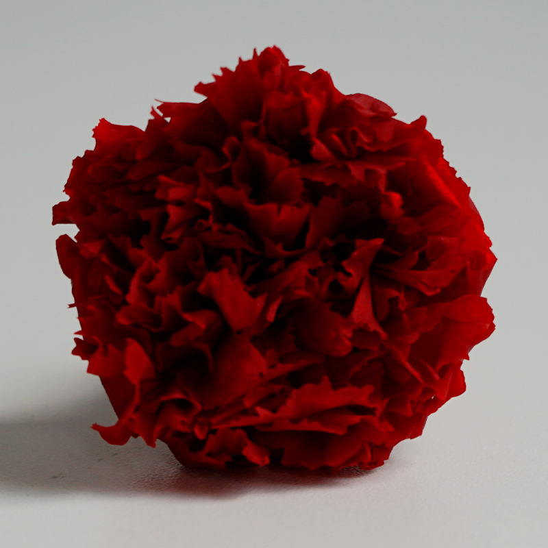 Rojo 3-4cm10 flores/caja