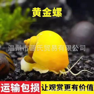 �S�����^�p�Գ��幤�ߵ�ˮ���w���挙�ͯ�Y�ﶹ����Ȼ����