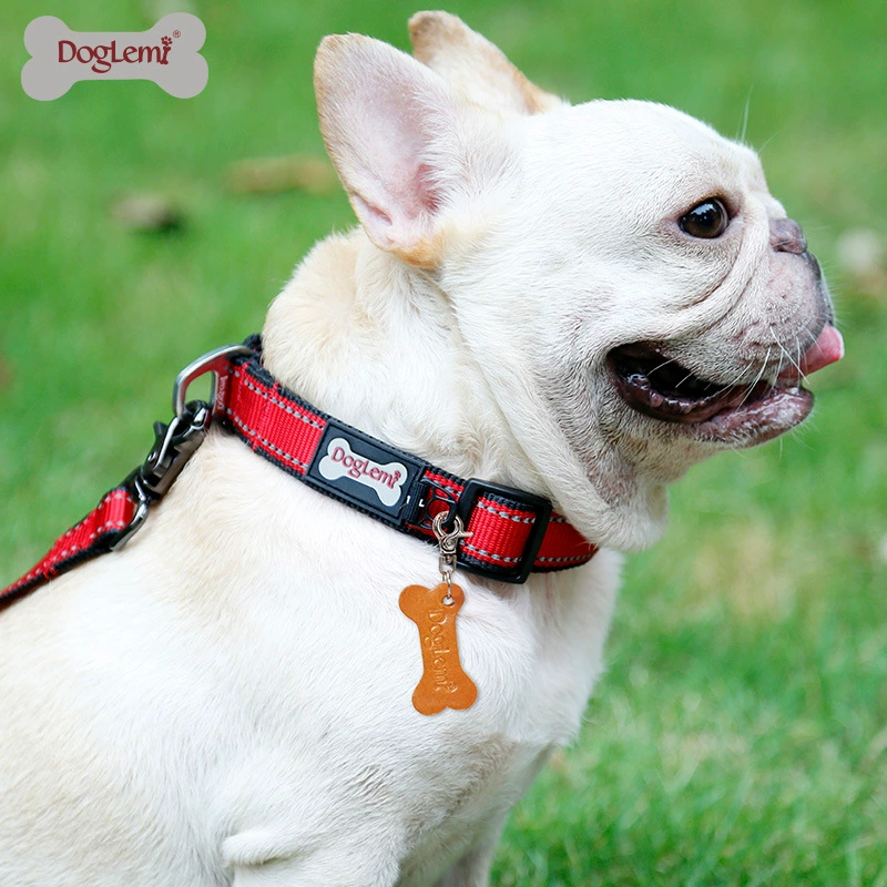 Новый большой ошейник для собак Светоотражающий нейлоновый ошейник Тедди Корги Чай Собака Фадоу Тяговый ошейник с золотыми волосами Товары для домашних животных