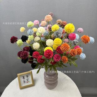 5�^��� ���Ҿ��b�ƿ�ٻ���Y����ƹ�Ҿշ��滨�羳�F؛���l