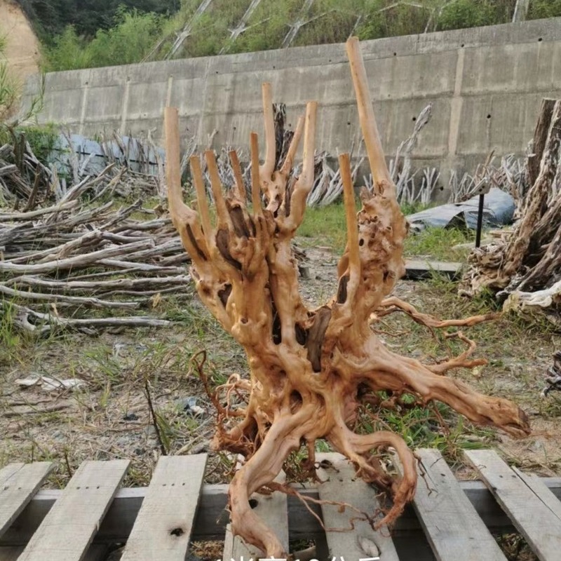 造園熱帯雨林ツジの木の頭の木の根ツジの根ソフト装飾人工木庭の根の彫刻オリジナルの生態水槽の造園|undefined