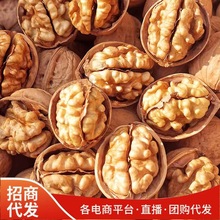 核桃批发5斤装新货新疆阿克苏纸皮核桃孕妇坚果零食核桃