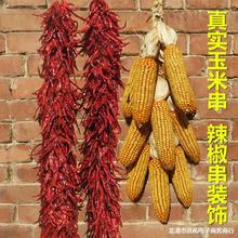 ����S���s�Z����r�Ҙ������װ����r�����b������������״����