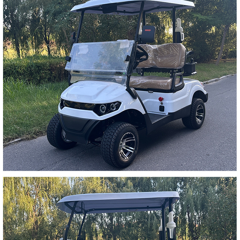 Multifunctional Electric Golf Cart Sand Bucket Ball Washer Insulated Box Rain Curtain Golf Cart for Golf Course