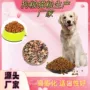山东大型生产宠物设备