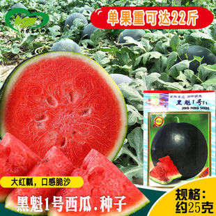 �ڿ�1̖���ϷN�� �r��ˈ@��tȿ�ڸд�ɳ�����𝙶�֭����������