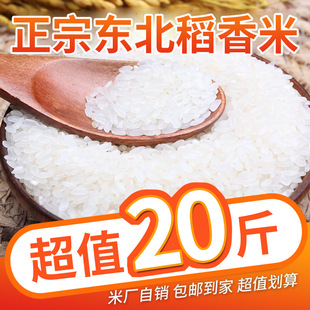 ���ږ|������20��270����L��������������е��������l�r�ó�