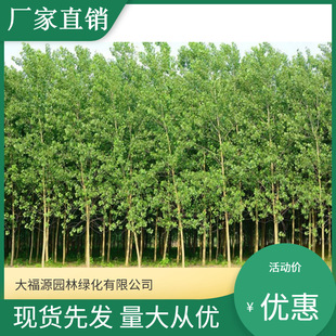 ���ع���ë�ח� ��� ��������� ���С�� Ҏ���Rȫ����ă�