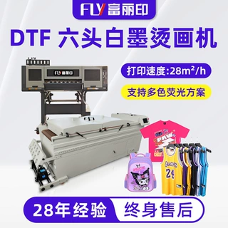 定制6头烫画打印机 帽子短袖t恤图案印花机 服装白墨dtf打印机
