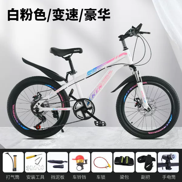 Shock-absorbing fuchsia bike shifter (brake handle) disc brake