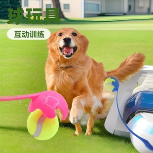 �羳�����U����Ӗ����ߒ���������W��Ӗ�����S���һ�����l