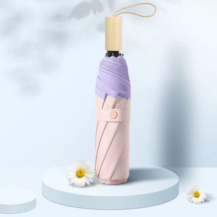 5 배 컬러 접착제-핑크 보라색