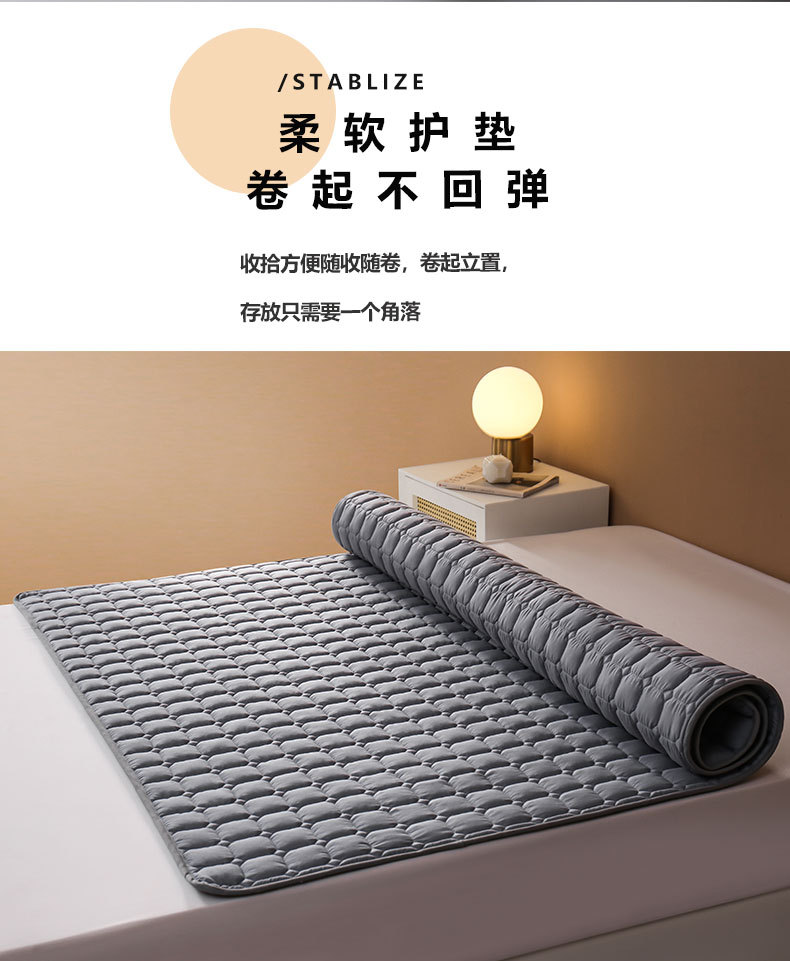 商品详情图_（总）啊雅 2024新款300克宾馆酒店床褥垫保