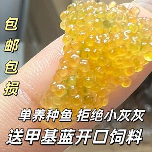 �^�����F�~����߸�ǹ⬔�������ꖹ��{��ʯ�����ǵ�ˮ�^�p�~���B