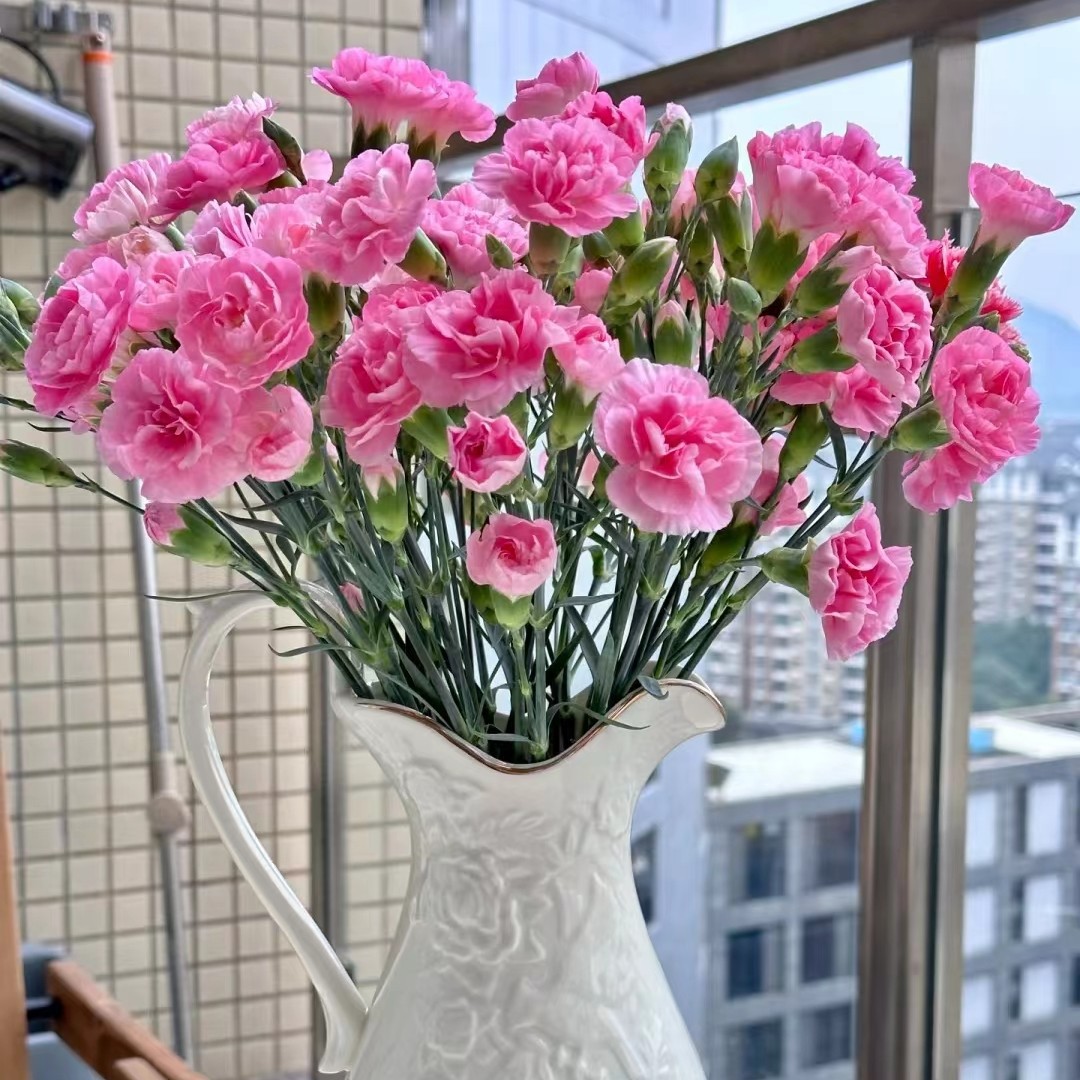 微信图片_20230214202224_副本