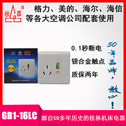 【桂器】GB1-16LC 16A 220V空调挂机电热水器开关32A漏电保护器