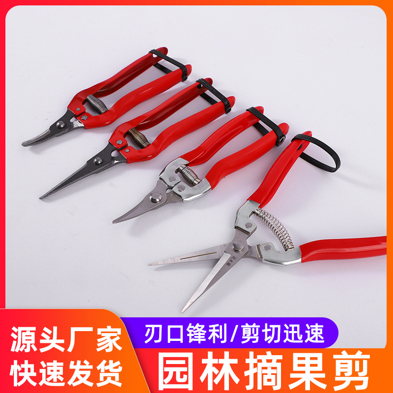 厂家供应园林翘头直头修枝剪 采摘果树树枝盆景工具剪刀摘果剪