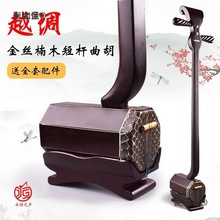 黑檀越调短杆曲胡河南坠胡坠琴乐器 初学专业演奏一送五麦麦太保