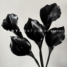 ��ɫ�R��ɏ ����ϵ�����҃��bӰ��g����廨�[���������߼ٻ�