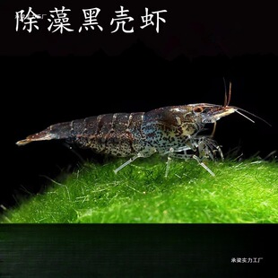 �ښ��r�����坍���幤���^�p���r�����r����ϵ�ˮ���쾰