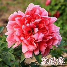 ����ĵ������ѿ�l؛���Զ��֦5����ꖻ���ֲ���҃�ͥԺ�̨�ļ�