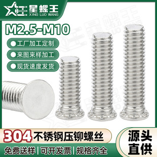 304���P��T��ݽz�S�����l���^�������ƽ�^���T��˨M2.5/M6/M10