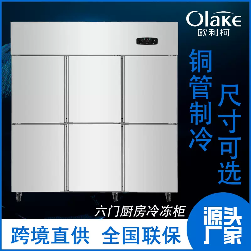 大容量冰箱定制冰柜商用双温双室冷藏柜冷冻柜厨房冷柜新品上市