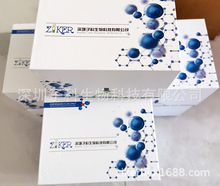人乳酸脱氢酶（LDH）ELISA检测试剂盒