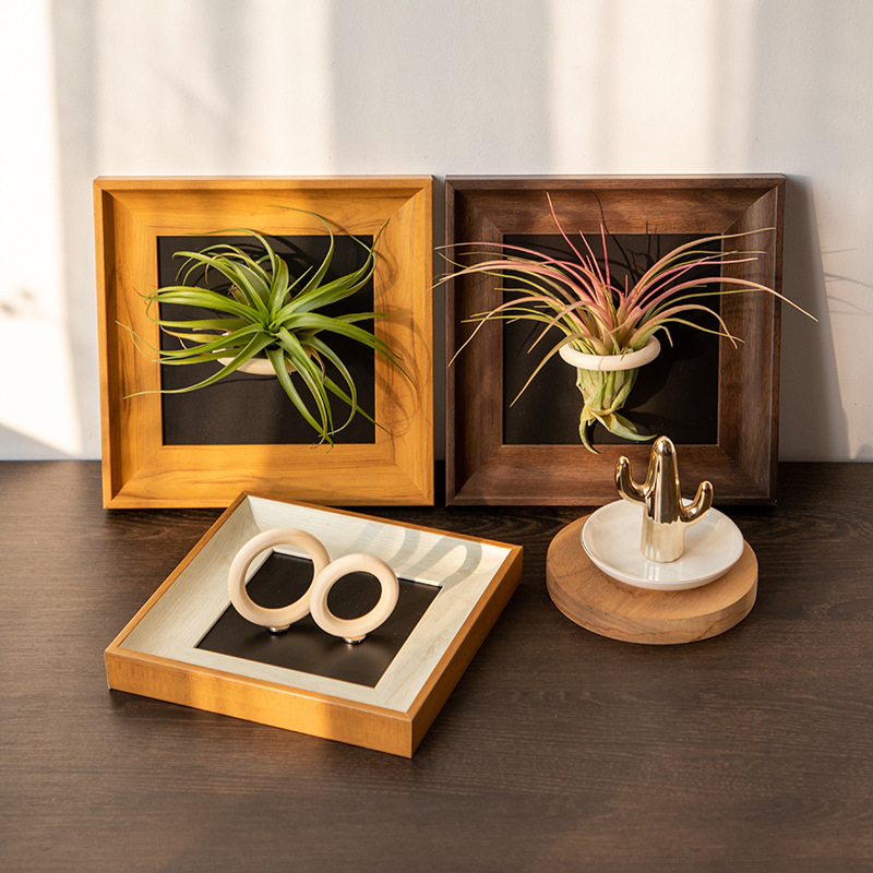 Air Pineapple Decorative Painting Plant Display Photo Frame Hand-Made Storage Living Room Wall Decoration Office Plant Photo Frame Air Pineapple Decorative Painting Plant Display Photo Frame Hand-Made Storage Living Room Wall Decoration Office Plant Photo Frame