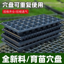 �߲�ѿ���������Ӻ�Ѩ�P���⻨�ܷNֲ���������P���ϠI�B����