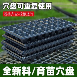 �߲�ѿ���������Ӻ�Ѩ�P���⻨�ܷNֲ���������P���ϠI�B����