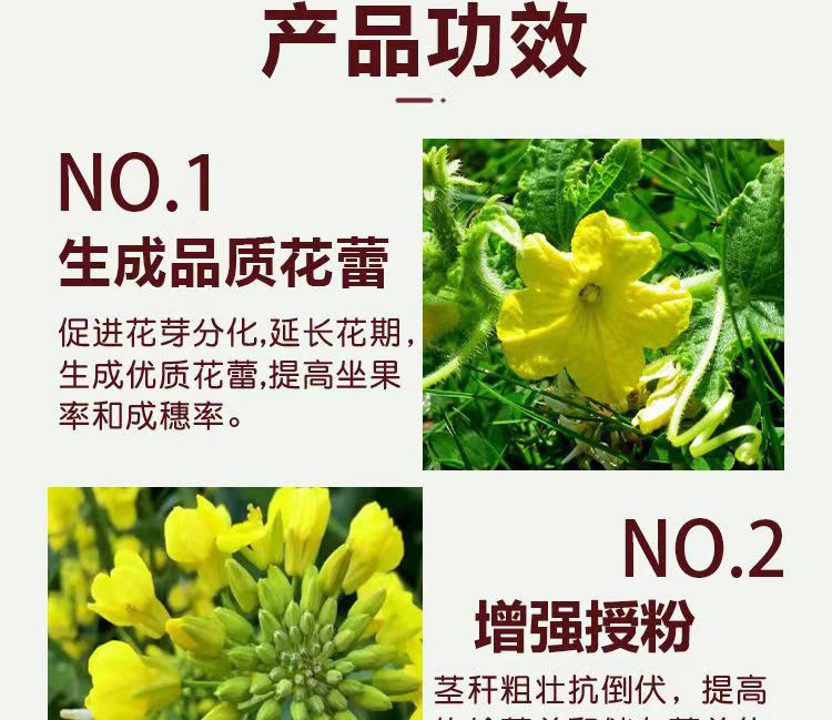 O1CN01mX5dkN2KaUT5PPbIP_!!2215