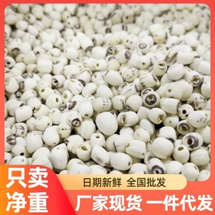 ɏ�Ӹ�؛500g��ȥоɏ��ĥƤ�o�İ�ɏ���خa���r����ɏ�y���ٺϸ�