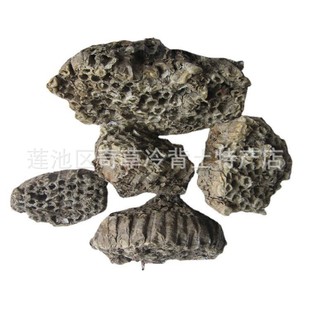 �䷿,�R��C,¶�䷿,�䳲,Ұ��C,ܛ�䷿,���l��ș�ķ䷿,