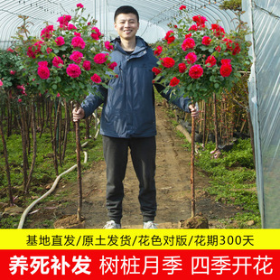 һ�����l�䘶�¼������ش�ͥԺ�̨�Gֲ���ļ��_�����Ի���