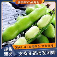 ������r�Q��5���r�Ҏ����������_�h�m�������ඹ�v�߲�������]