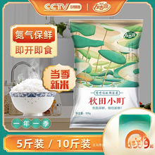 �������ז|������5kg�Ѽ�Դ����С������׈A���¾��׉�˾��10��