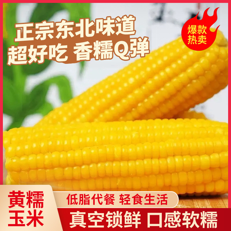 东北特产玉米农家整箱糯玉米棒黑龙江新鲜甜糯苞米真空包装厂家