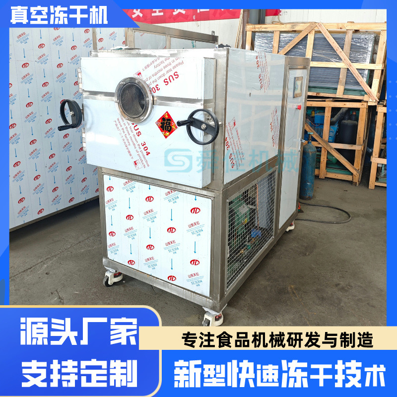 厂家供应1平方真空冻干机 白果小型冻干机 香菜大葱胡萝卜干燥机